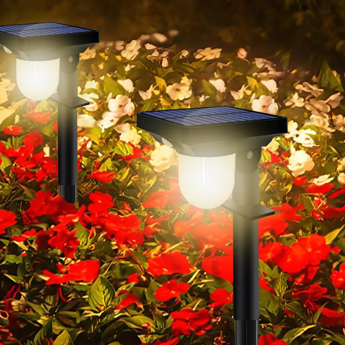 Solar Lights Outdoor